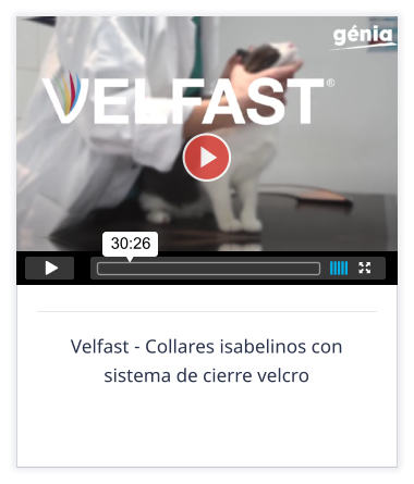 Velfast - Collares isabelinos con sistema de cierre velcro  30:26