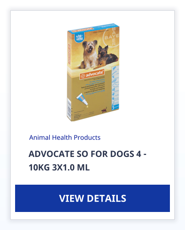 ADVOCATE SO FOR DOGS 4 -  10KG 3X1.0 ML Animal Health Products VIEW DETAILS