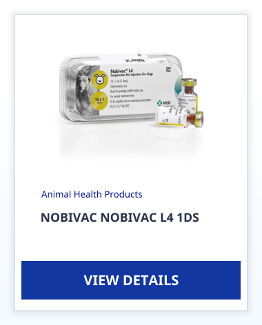 NOBIVAC NOBIVAC L4 1DS  Animal Health Products VIEW DETAILS