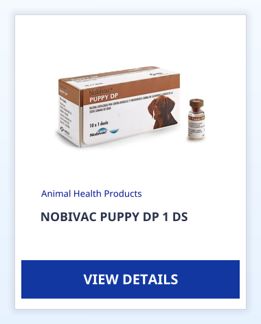 NOBIVAC PUPPY DP 1 DS Animal Health Products VIEW DETAILS