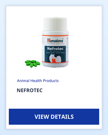 NEFROTEC Animal Health Products VIEW DETAILS