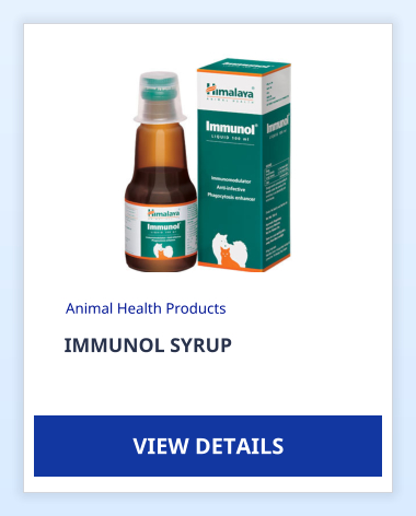 IMMUNOL SYRUP Animal Health Products VIEW DETAILS