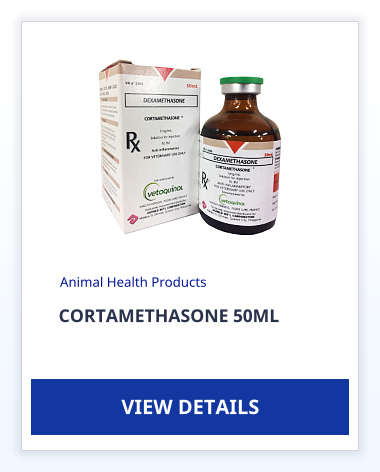 CORTAMETHASONE 50ML Animal Health Products VIEW DETAILS