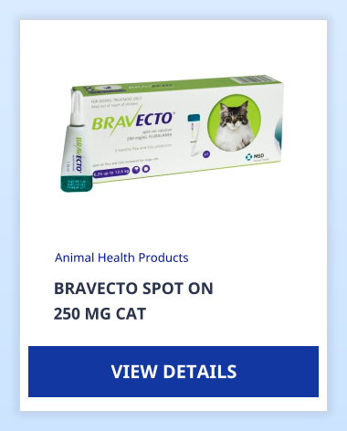 BRAVECTO SPOT ON  250 MG CAT Animal Health Products VIEW DETAILS