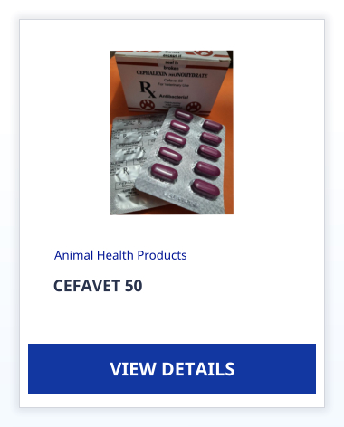 CEFAVET 50 Animal Health Products VIEW DETAILS