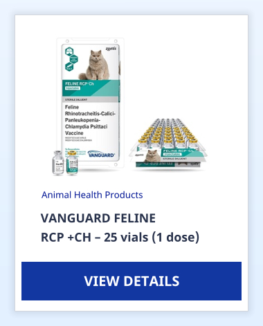 VANGUARD FELINE  RCP +CH  25 vials (1 dose) Animal Health Products VIEW DETAILS